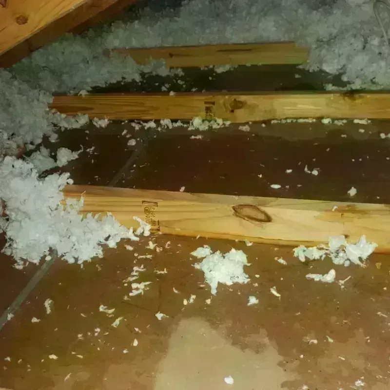 Attic Water Damage in Osceola, IA